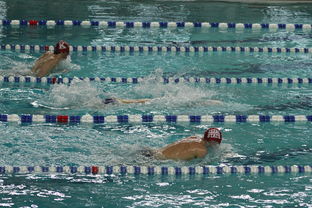 爱游戏全站app注册-中国游泳运动员世锦赛接力项目表现抢眼，中国游泳接力夺金